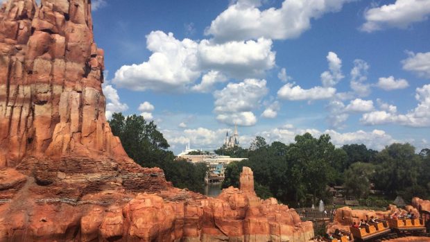Let’s Play This or That: Magic Kingdom Park Edition