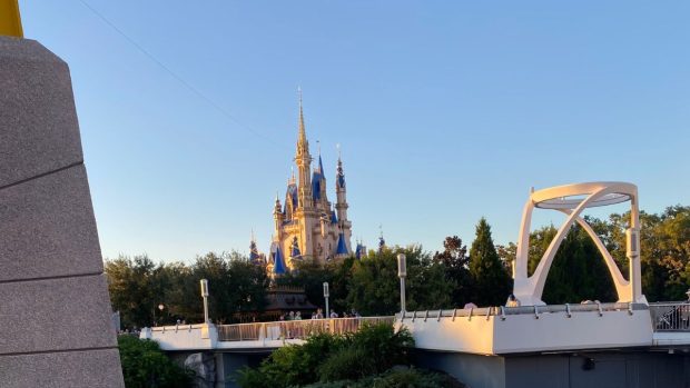 If You Could Change Anything at Magic Kingdom, What Would it be?