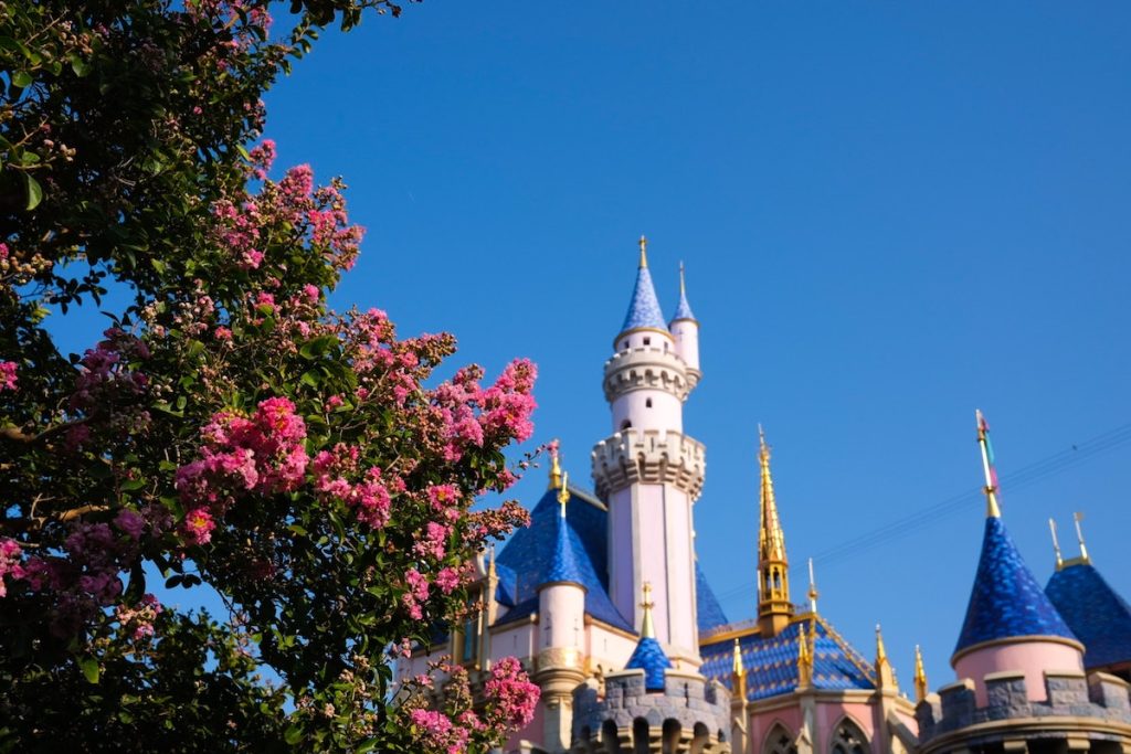 Dear Disney Cast Members: An Open Letter of Gratitude steven-beyer-2sDDcLZAByM-unsplash  Photo by <a href="https://unsplash.com/@sbeyerjr?utm_source=unsplash&utm_medium=referral&utm_content=creditCopyText">Steven Beyer</a> on <a href="https://unsplash.com/photos/2sDDcLZAByM?utm_source=unsplash&utm_medium=referral&utm_content=creditCopyText">Unsplash</a>
