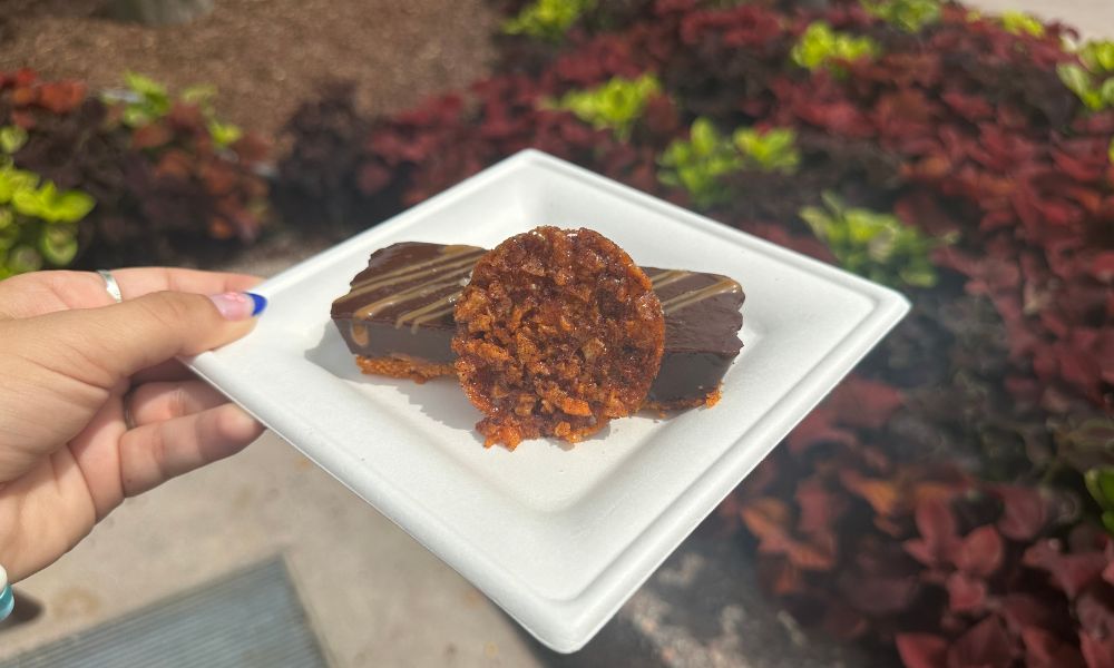 2023food-wine-food-wdw 2 โ WDWINFO.COM Best & Worst Food Items at the 2023 EPCOT International Food and Wine Festival 2023food-wine-food-wdw 2