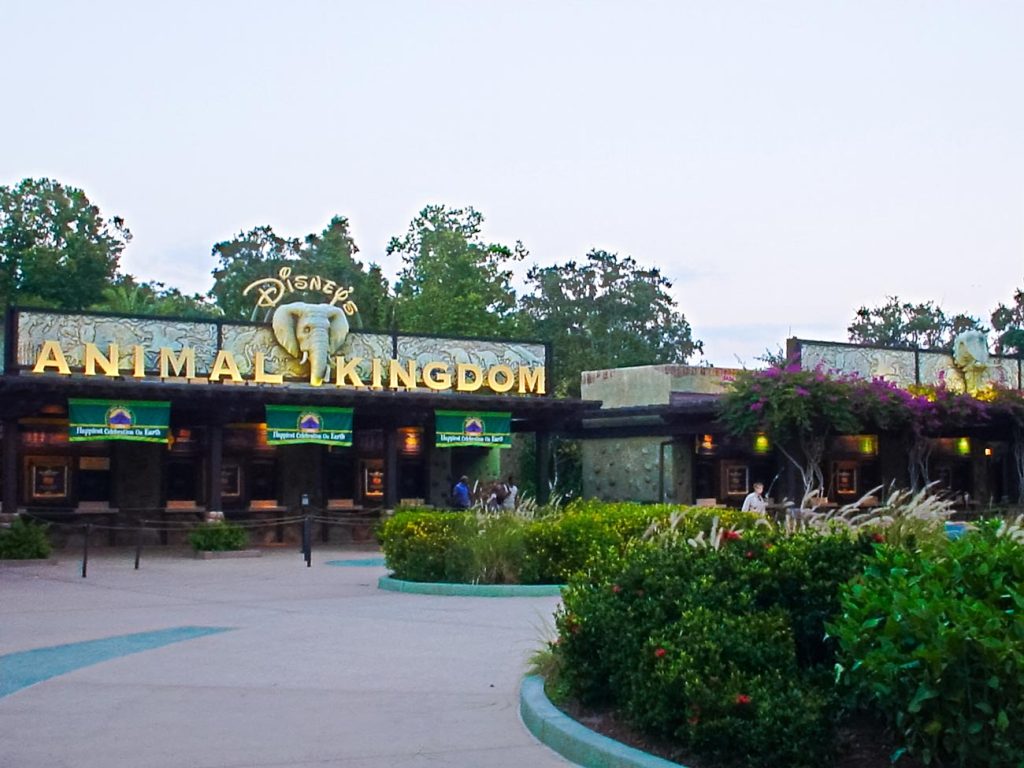 Five Mistakes You Shouldn’t Make Planning for Disney’s Animal Kingdom