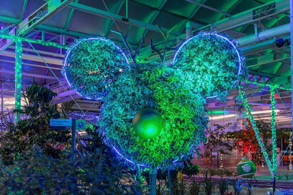 One of the BEST Holiday Attraction Overlays at Walt Disney World living-with-the-land-holiday-2023-03