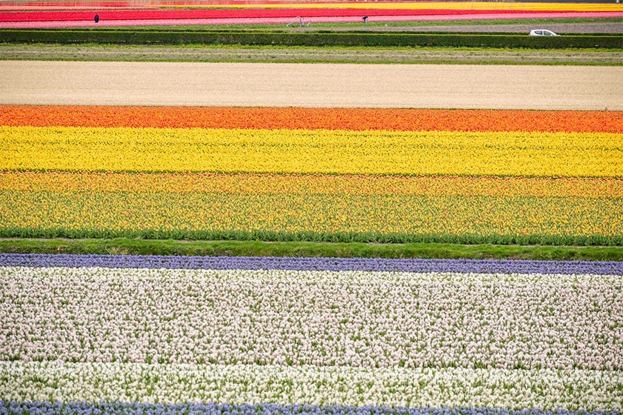 new-holland-belgium-abd-2025-04 โ WDWINFO.COM New Holland & Belgium Adventures by Disney Trips in 2025 new-holland-belgium-abd-2025-04