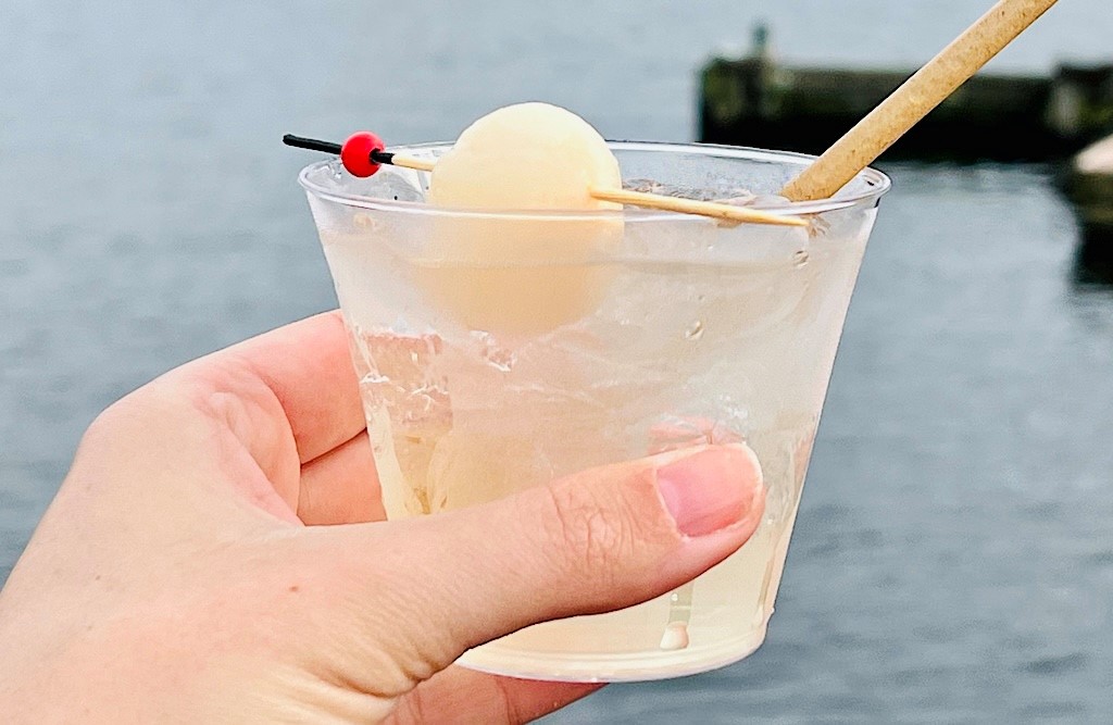 Lychee Margarita – WDWINFO.COM Flower & Garden Festival: Hannah’s Version Lychee Margarita