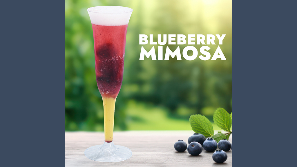 New Treats at Vivoli il Gelato in Disney Springs at Walt Disney World vivoli-blueberry-mimosa