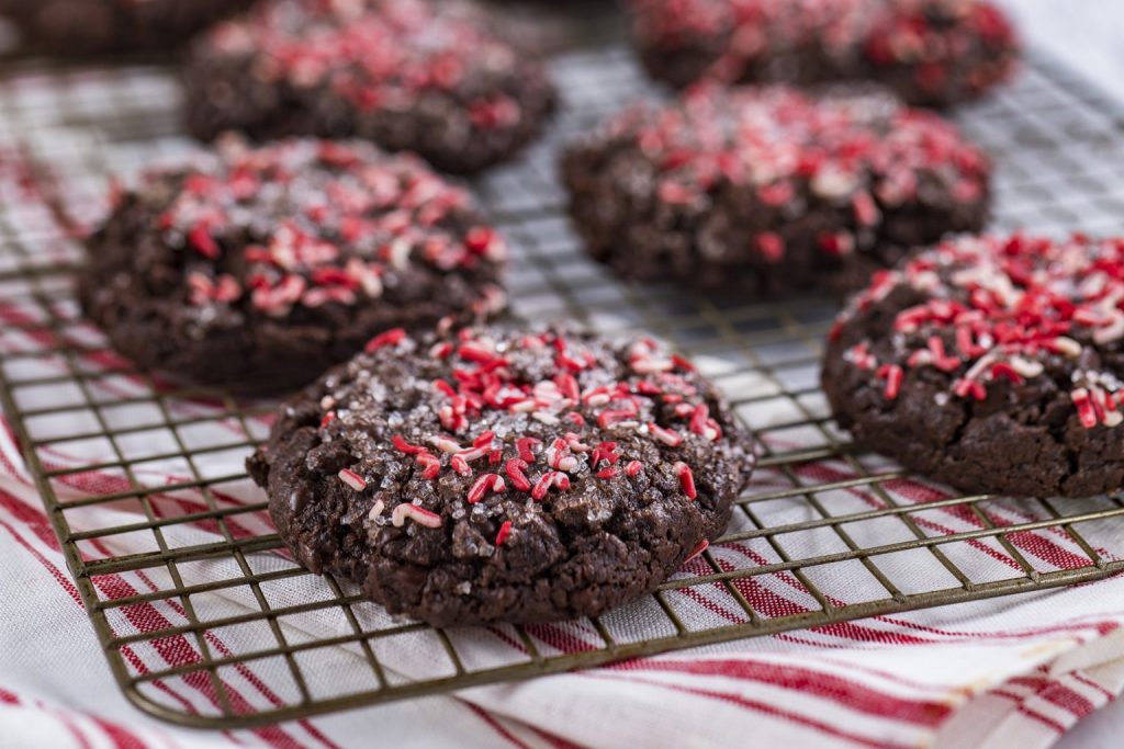 Halfway to the Holidays Recipe: Chocolate Peppermint Cookies wdw-foth-recipes-PeppermintCookies-1536x1024