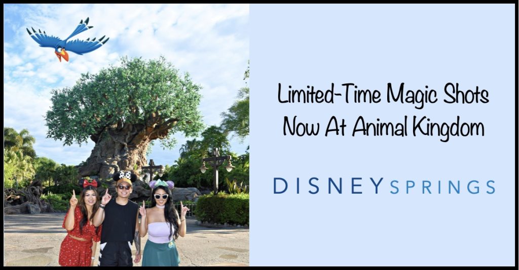 Capture Your New Magic Shots Celebrating ‘The Lion King’ Magic Shots