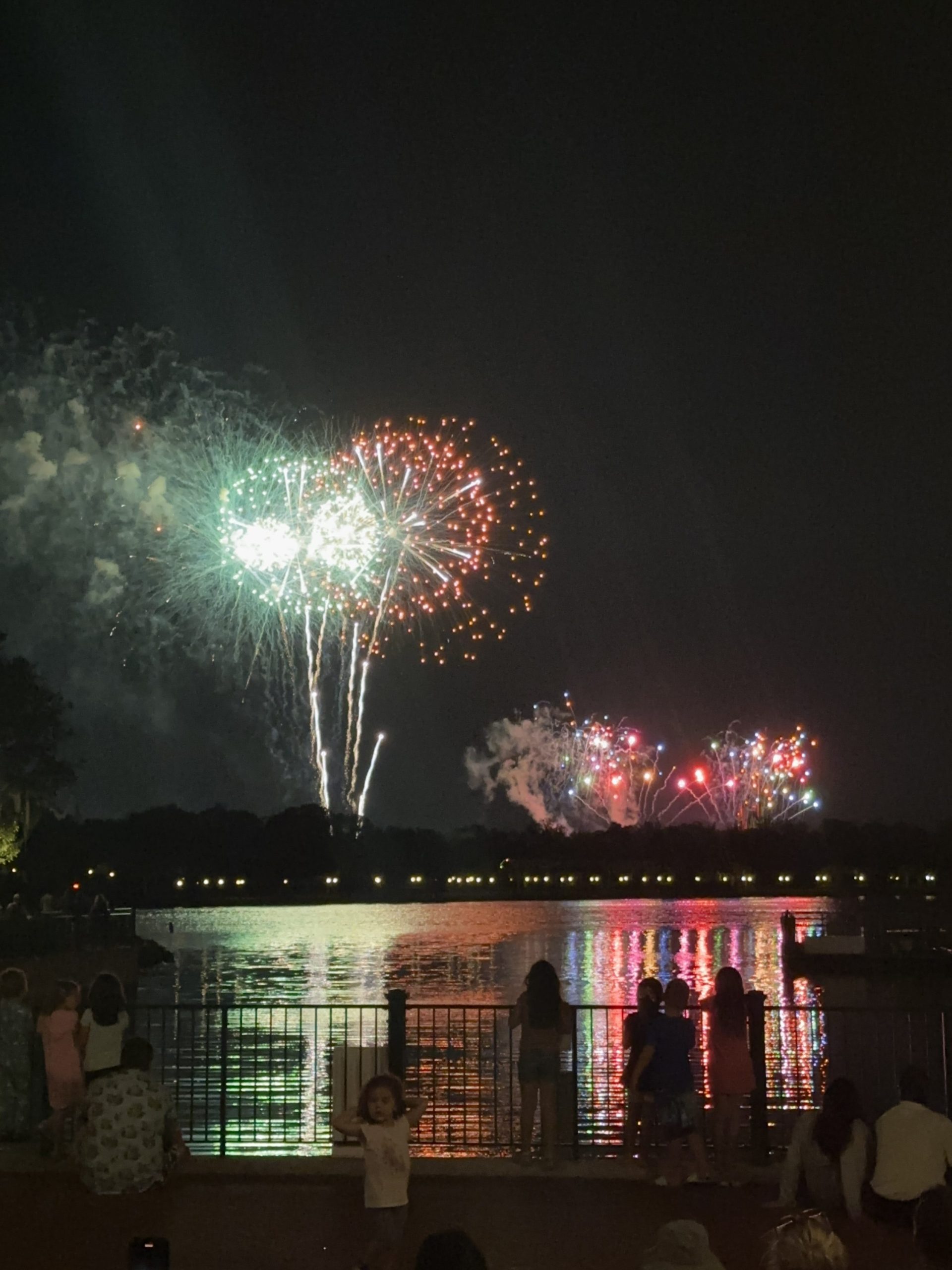 IMG_9894 โ WDWINFO.COM Unique Spots to Watch Happily Ever After Fireworks with Minimal Crowds at Disney World IMG_9894