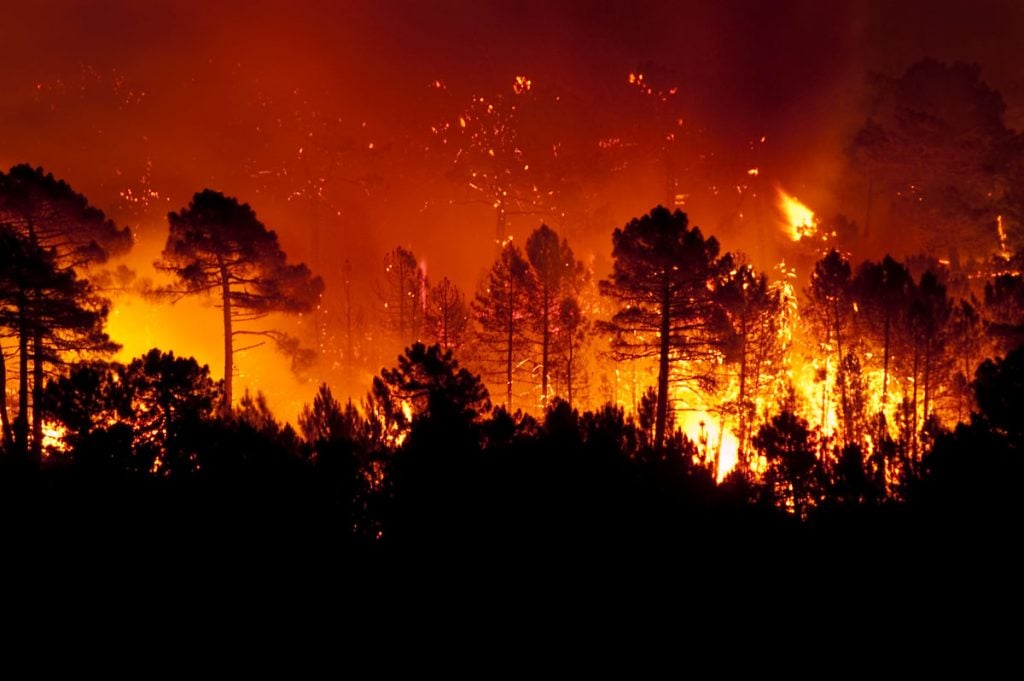 Disneyland Resort Remains Open Despite Devastating Fires in LA wildfires-AdobeStock_200562584