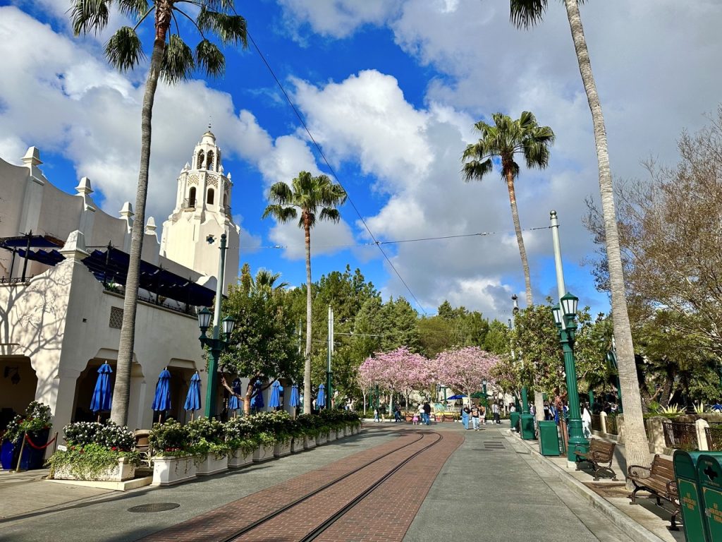 Disney Debate: Is The Rope Drop Hustle Worth The Hassle? 2024 - Zoe - DCA Street Large