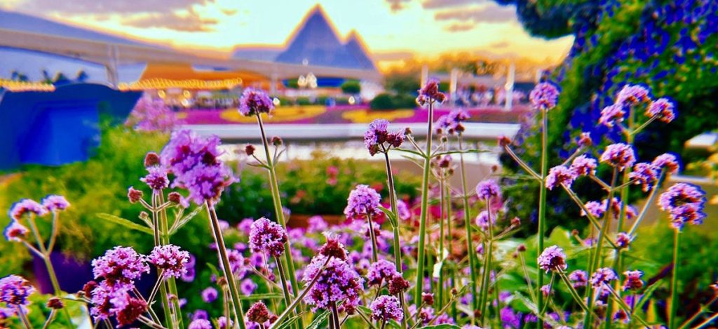 300-EPCOT-2025-Flower-Garden-Festival-02 – WDWINFO.COM Why Now is the Perfect Time to Plan Your Walt Disney World Spring Vacation 300-EPCOT-2025-Flower-Garden-Festival-02