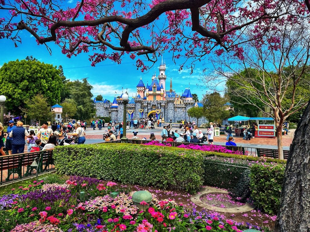 Will I Fit? The Ultimate Plus-Size Guide to Disneyland Park Disneyland Castle Spring Zoe 2024 Large