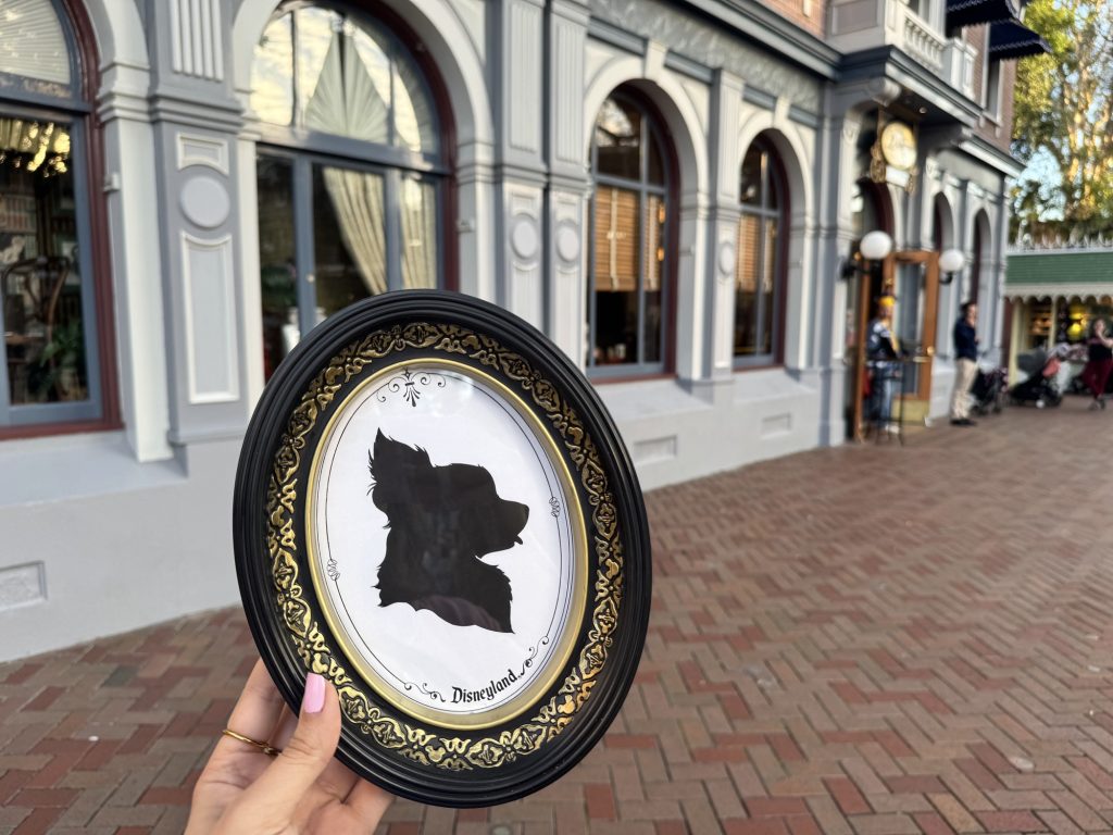 Do You Know About this Personalized Souvenir from Disneyland?