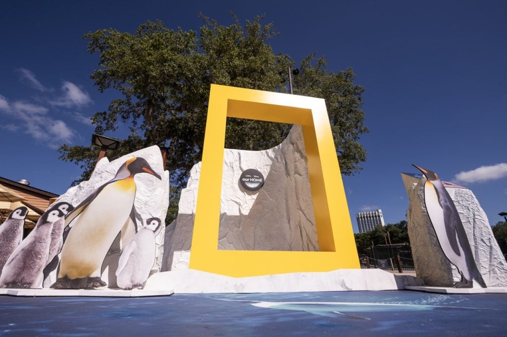 New National Geographic Earth Month Photo Op at Disney Springs Earth Day Photo Op Disney Springs Large