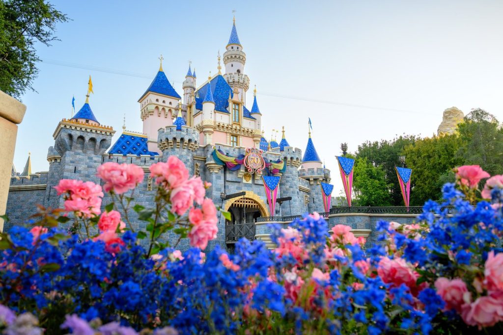 Disney’s World Princess Week Starts Now! Disneyland Concert, Ride Along & More IMG_6031