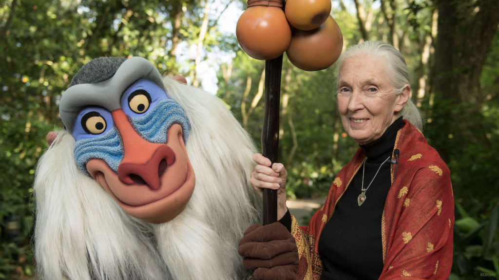 A Great Tree Has Fallen: Honoring Dr. Jane Goodall CelebratingDrJaneGoodalls90th