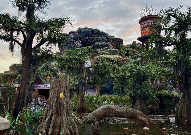 These Disney World Rides Might Leave You Soaked, Even When You Least Expect It WDW 2025 Zoe Wood Magic Kingdom Tianas Bayou Adventure Dusk Large