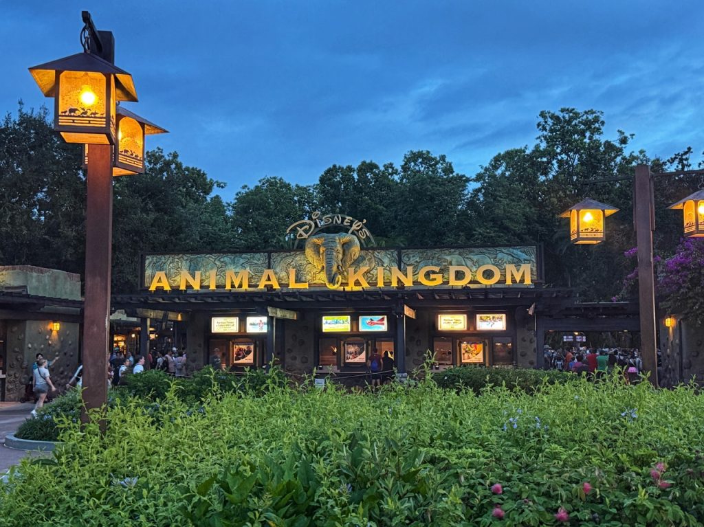 New Snacks, Treats & Drinks Migrating to Animal Kingdom! WDW Zoe Wood 2025 Animal Kingdom Sign Early Morning Large