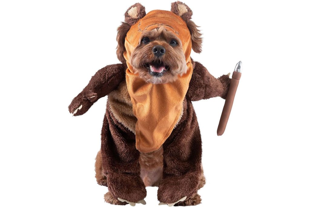 endor-ewok-pet-costume โ WDWINFO.COM Easy Last-Minute Disney Halloween Costumes You Can Get on Amazon endor-ewok-pet-costume