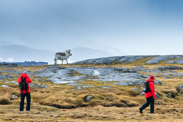 natgeo-lindblad-expeditions-2027-28-04 – WDWINFO.COM National Geographic-Lindblad Announces Expeditions to ALL SEVEN Continents in 2027–28 natgeo-lindblad-expeditions-2027-28-04