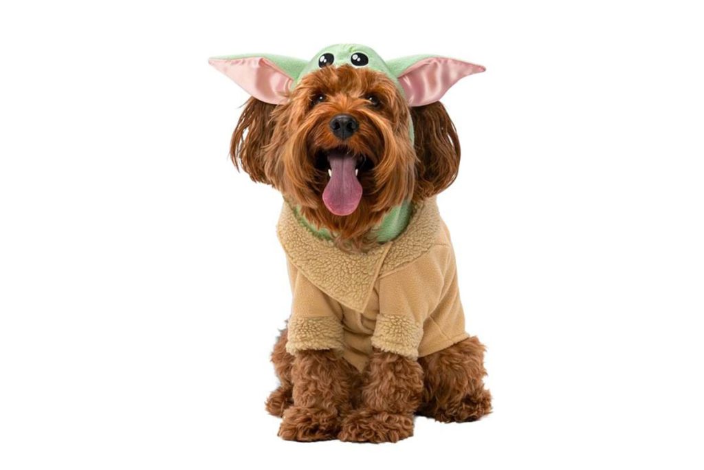 star-wars-grogu-pet-costume โ WDWINFO.COM Easy Last-Minute Disney Halloween Costumes You Can Get on Amazon star-wars-grogu-pet-costume