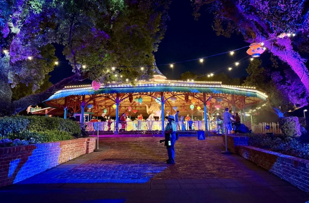A Shoutout to Disney’s Professional Photography Crew! wdw 2025 Zoe Wood Magic Kingdom Mad Tea Party Night Photographer Large