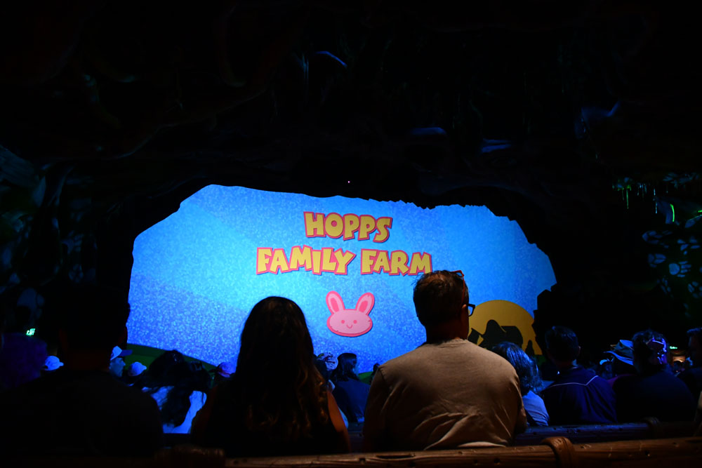 DSC_0300 – WDWINFO.COM Surprise and Delight at Disney’s Animal Kingdom DSC_0300