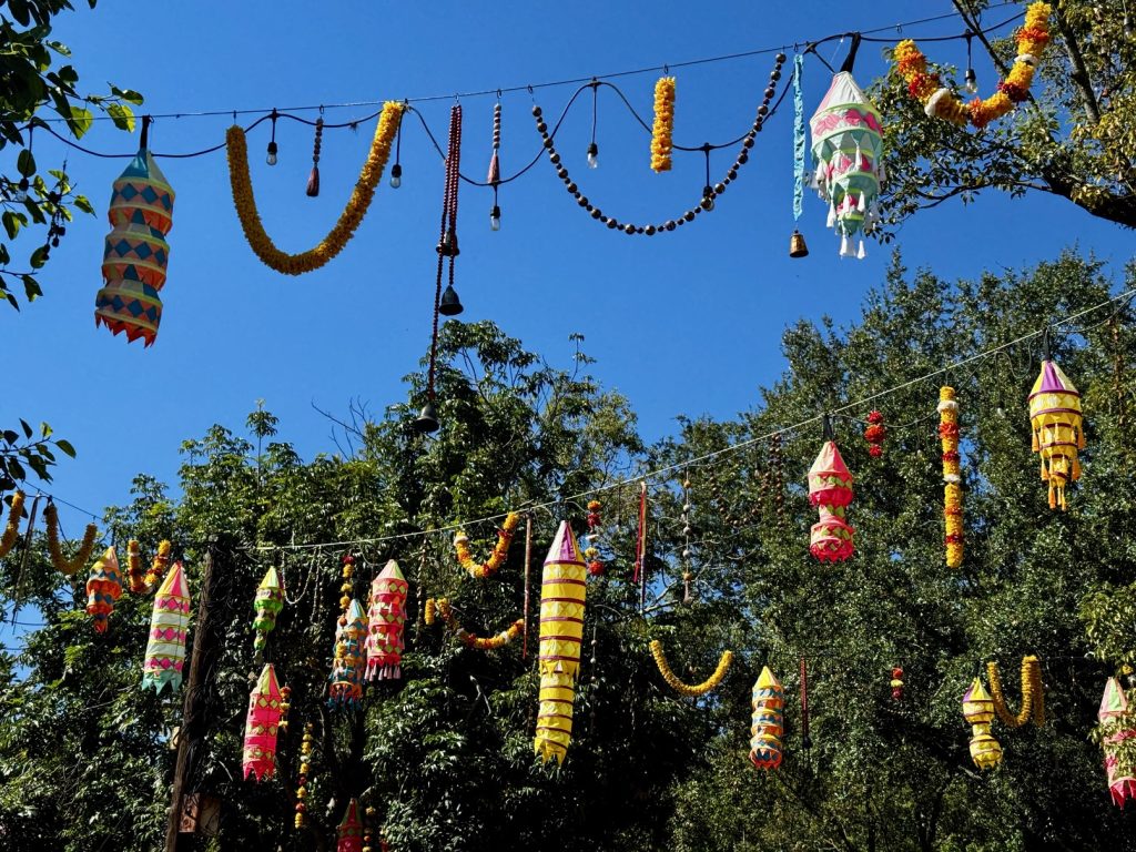 animal kingdom holiday decor 2025 12 – WDWINFO.COM Which Disney World Park Does Christmas Best in 2025? animal kingdom holiday decor 2025 12