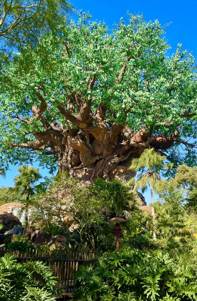 Screenshot – WDWINFO.COM Zootopia: Better Zoogether Brings New 4D Celebration to Disney’s Animal Kingdom Screenshot Screenshot
