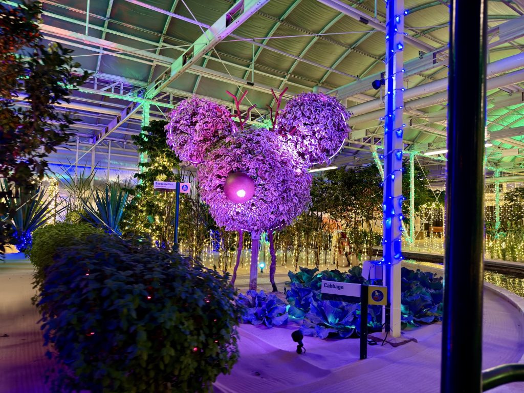 1 mickey-glimmering greenhouses_living_with_the_land_chloe 21 – WDWINFO.COM Disney World’s Best Christmas Lights are at EPCOT: Glimmering Greenhouses 1 mickey-glimmering greenhouses_living_with_the_land_chloe 21