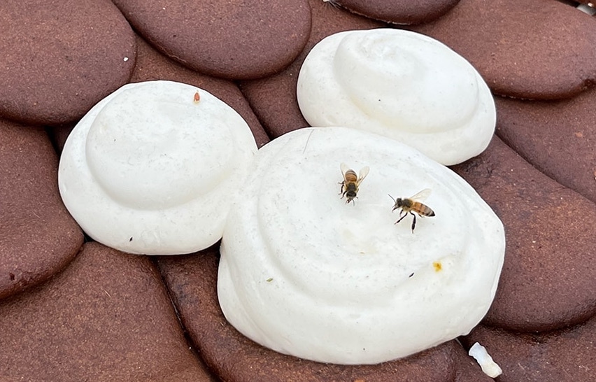 2023-wdw-bees – WDWINFO.COM What Happens to Disney World’s Gingerbread Displays AFTER Christmas? 2023-wdw-bees