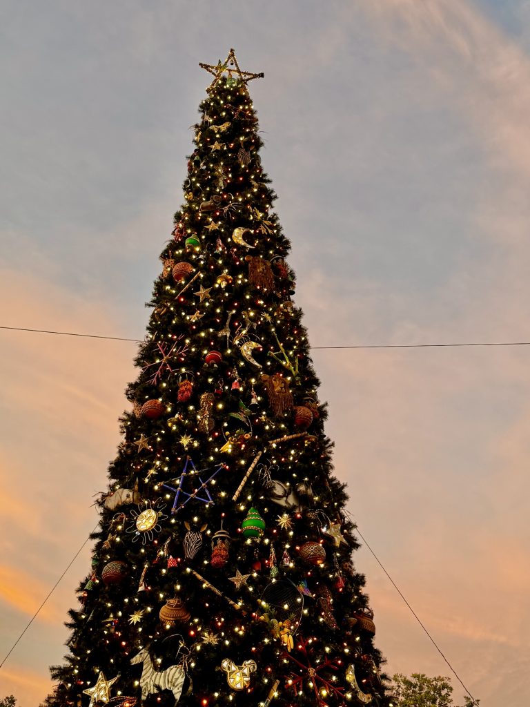 DAK Christmas Tree 2025_chloe – WDWINFO.COM Which Disney World Park Does Christmas Best in 2025? DAK Christmas Tree 2025_chloe