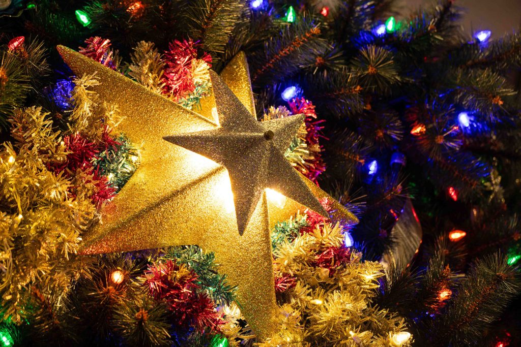 Walt-Disney-World-Holiday-Icon-Trees-1 – WDWINFO.COM Disney World’s Overnight Christmas Tree Install Is Pure Holiday Magic Walt-Disney-World-Holiday-Icon-Trees-1