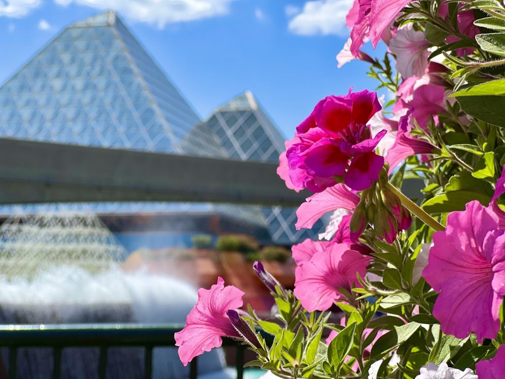 Why Now is the Perfect Time to Plan Your Walt Disney World Spring Vacation flower and garden festival _chloe 2