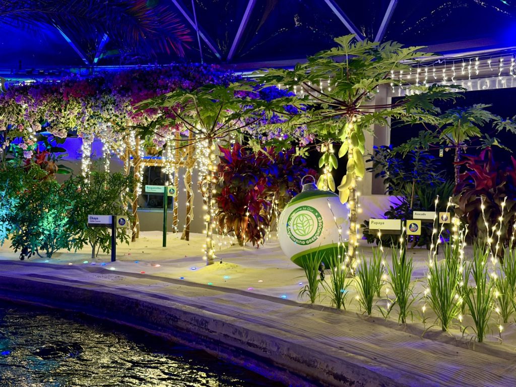 glimmering greenhouses_living_with_the_land_chloe 10 – WDWINFO.COM Disney World’s Best Christmas Lights are at EPCOT: Glimmering Greenhouses glimmering greenhouses_living_with_the_land_chloe 10