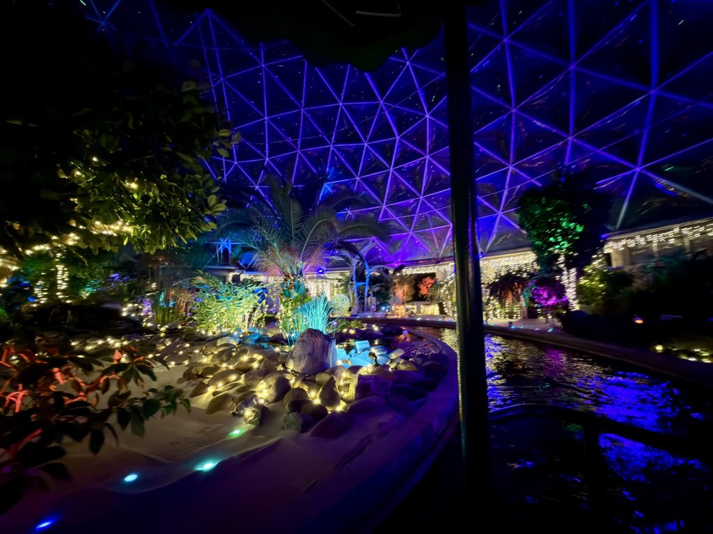 glimmering greenhouses_living_with_the_land_chloe 13 – WDWINFO.COM Disney World’s Best Christmas Lights are at EPCOT: Glimmering Greenhouses glimmering greenhouses_living_with_the_land_chloe 13