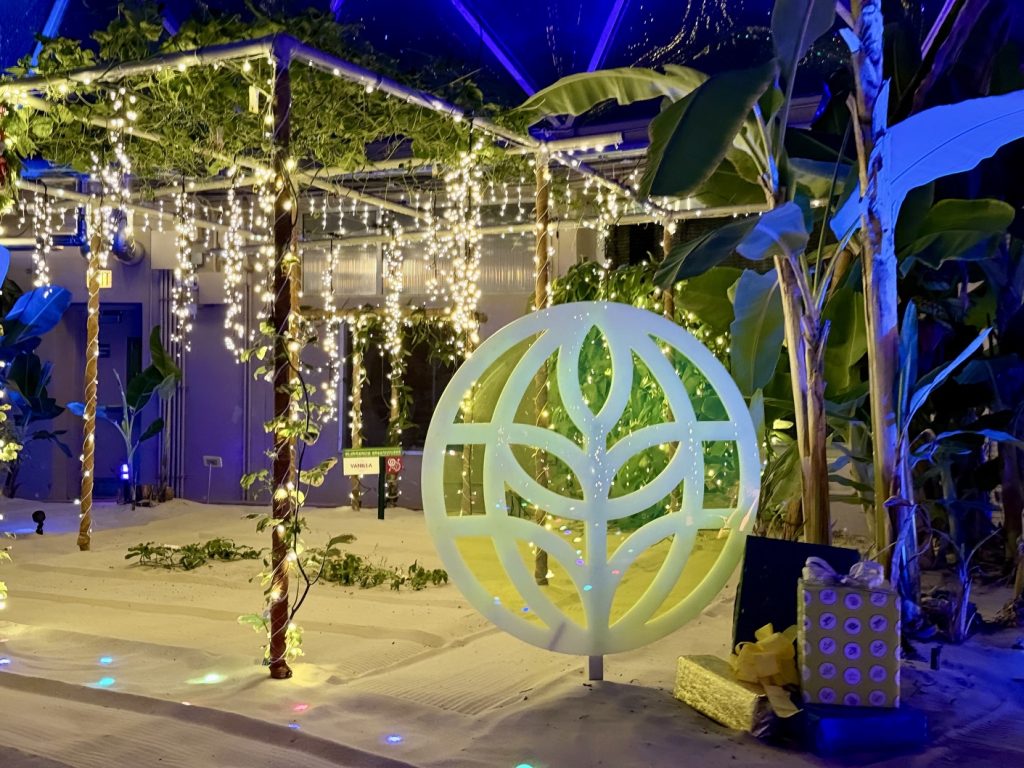 glimmering greenhouses_living_with_the_land_chloe 14 – WDWINFO.COM Disney World’s Best Christmas Lights are at EPCOT: Glimmering Greenhouses glimmering greenhouses_living_with_the_land_chloe 14
