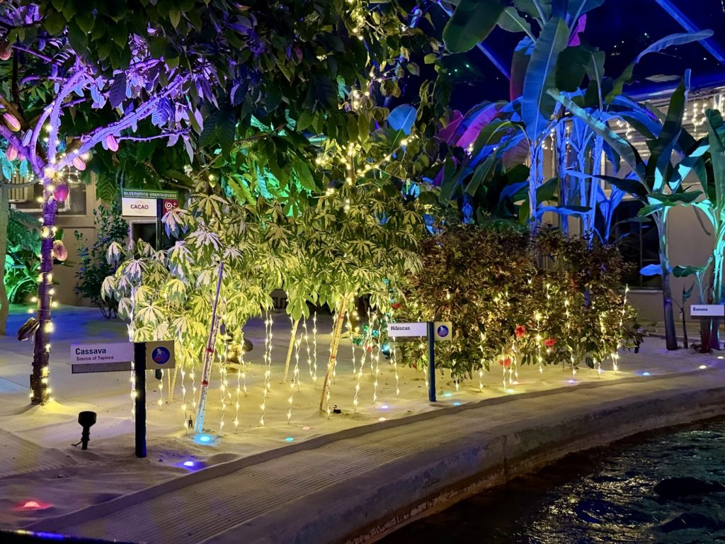 glimmering greenhouses_living_with_the_land_chloe 15 – WDWINFO.COM Disney World’s Best Christmas Lights are at EPCOT: Glimmering Greenhouses glimmering greenhouses_living_with_the_land_chloe 15