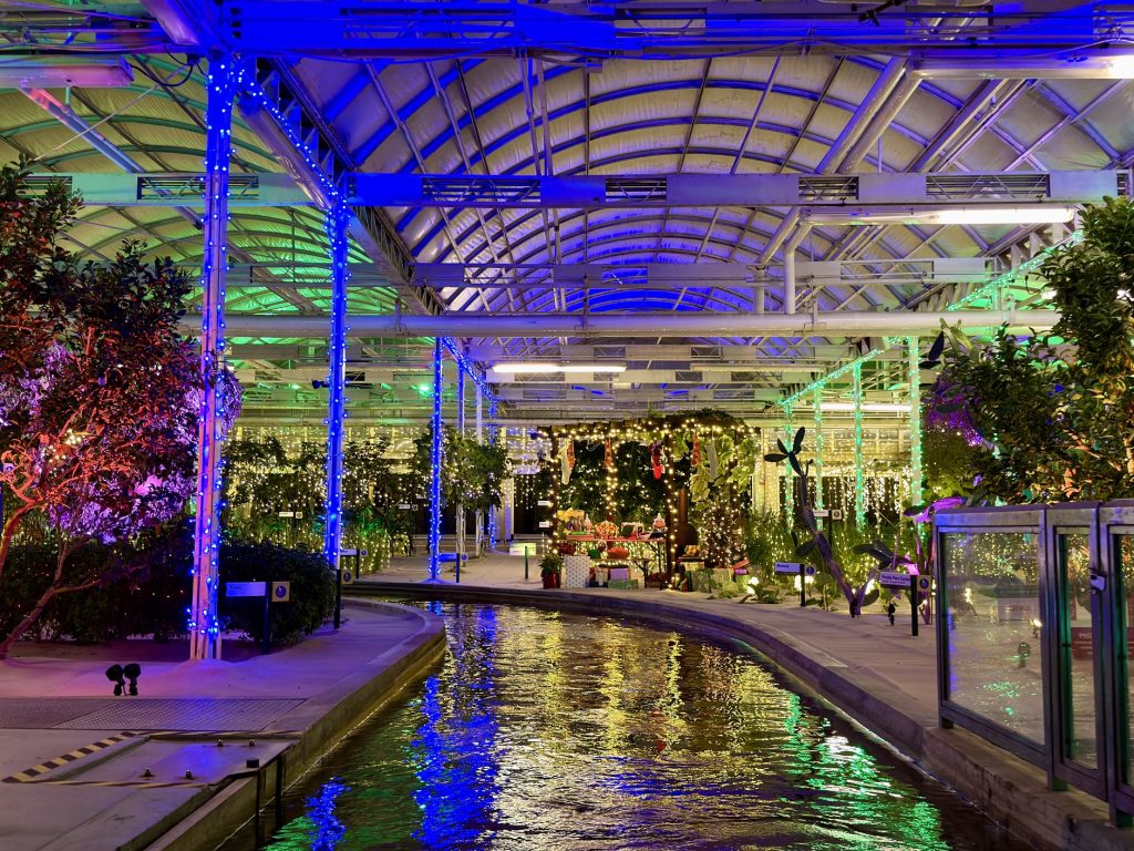 glimmering greenhouses_living_with_the_land_chloe 20 – WDWINFO.COM Disney World’s Best Christmas Lights are at EPCOT: Glimmering Greenhouses glimmering greenhouses_living_with_the_land_chloe 20
