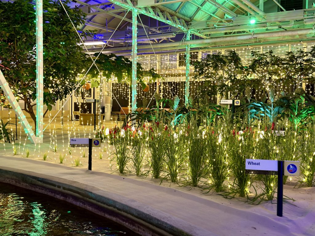 glimmering greenhouses_living_with_the_land_chloe 22 – WDWINFO.COM Disney World’s Best Christmas Lights are at EPCOT: Glimmering Greenhouses glimmering greenhouses_living_with_the_land_chloe 22