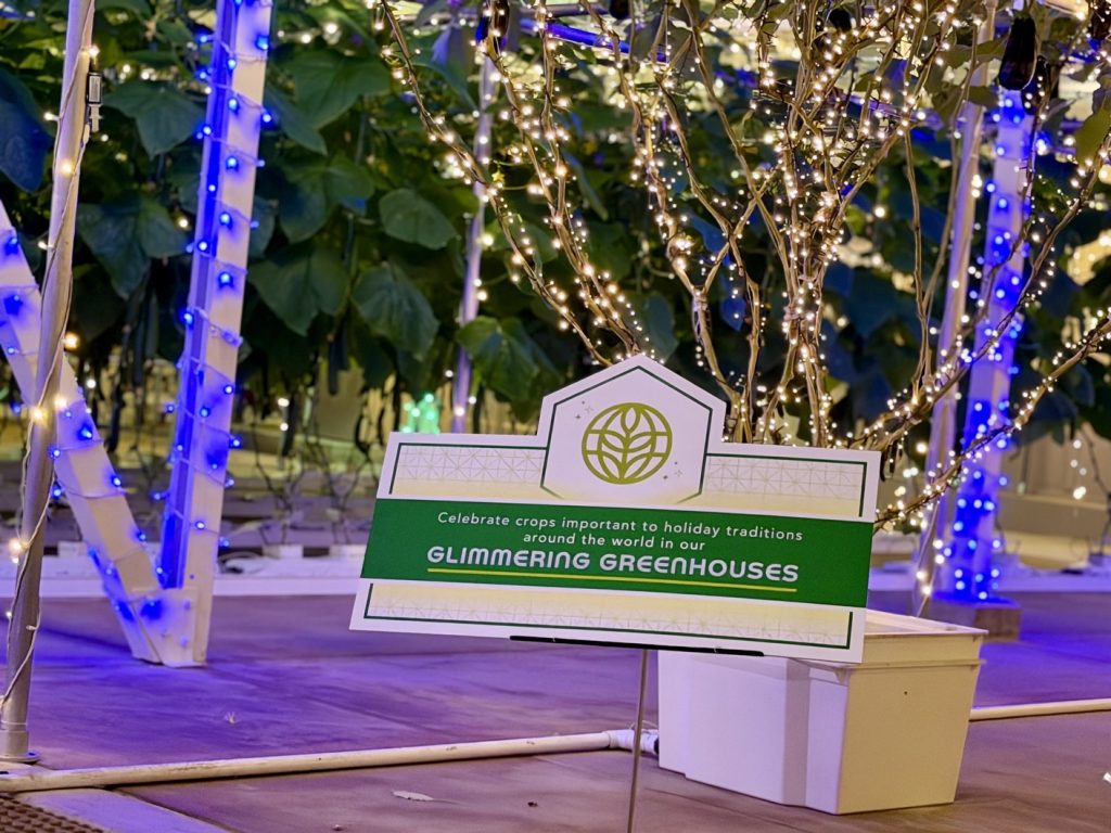 glimmering greenhouses_living_with_the_land_chloe 24 – WDWINFO.COM Disney World’s Best Christmas Lights are at EPCOT: Glimmering Greenhouses glimmering greenhouses_living_with_the_land_chloe 24