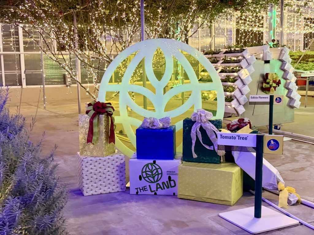 glimmering greenhouses_living_with_the_land_chloe 25 – WDWINFO.COM Disney World’s Best Christmas Lights are at EPCOT: Glimmering Greenhouses glimmering greenhouses_living_with_the_land_chloe 25