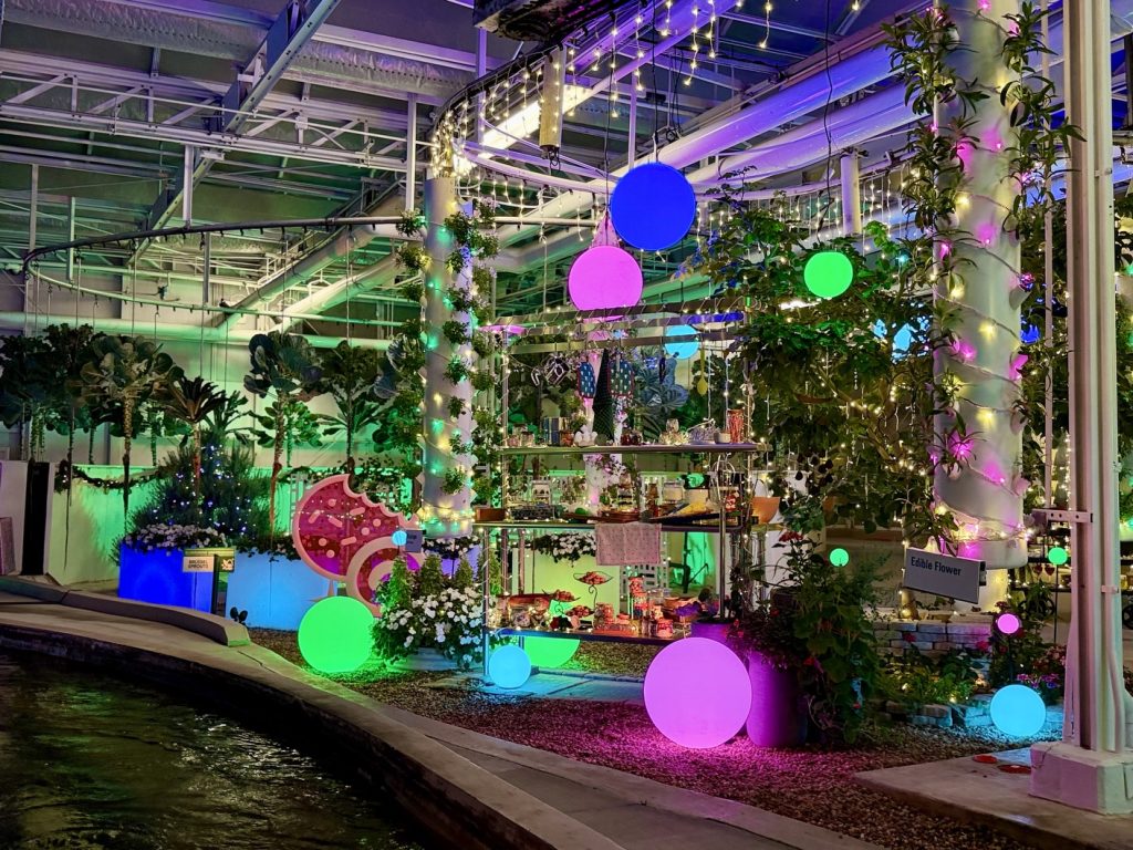 glimmering greenhouses_living_with_the_land_chloe 27 – WDWINFO.COM Disney World’s Best Christmas Lights are at EPCOT: Glimmering Greenhouses glimmering greenhouses_living_with_the_land_chloe 27