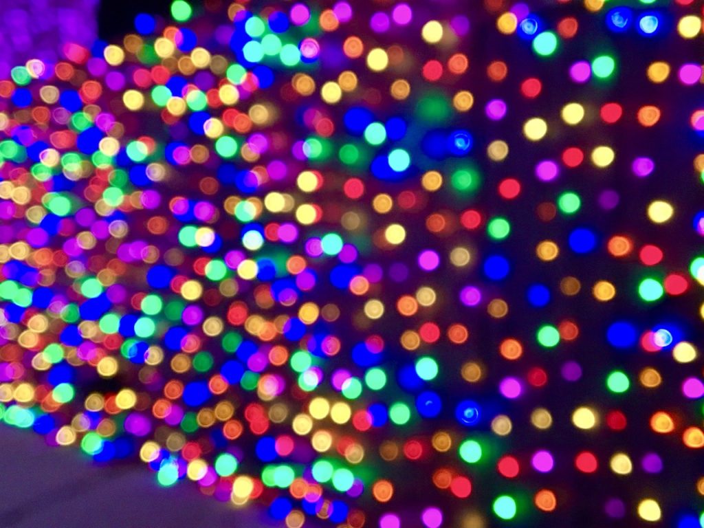 osborne lights_chloe 10 – WDWINFO.COM A Look Back at Disney’s Osborne Spectacle of Dancing Lights osborne lights_chloe 10