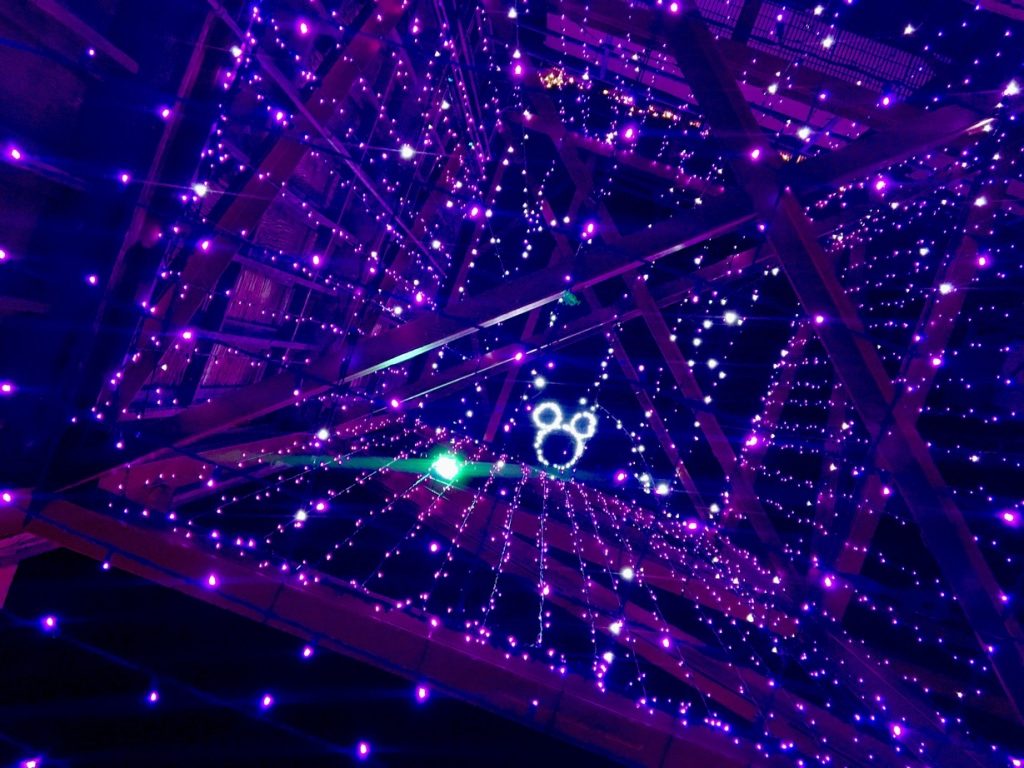 osborne lights_chloe 4 – WDWINFO.COM A Look Back at Disney’s Osborne Spectacle of Dancing Lights osborne lights_chloe 4