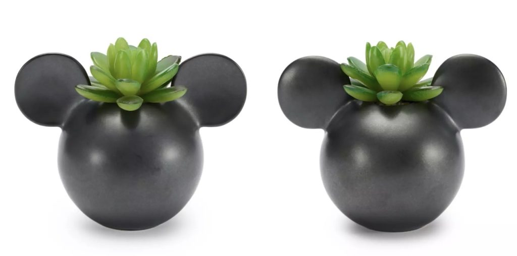 Disney merch Succulant Large – WDWINFO.COM New Disney Merch: NY Series, Dooney, Unique Plush & More Disney merch Succulant Large