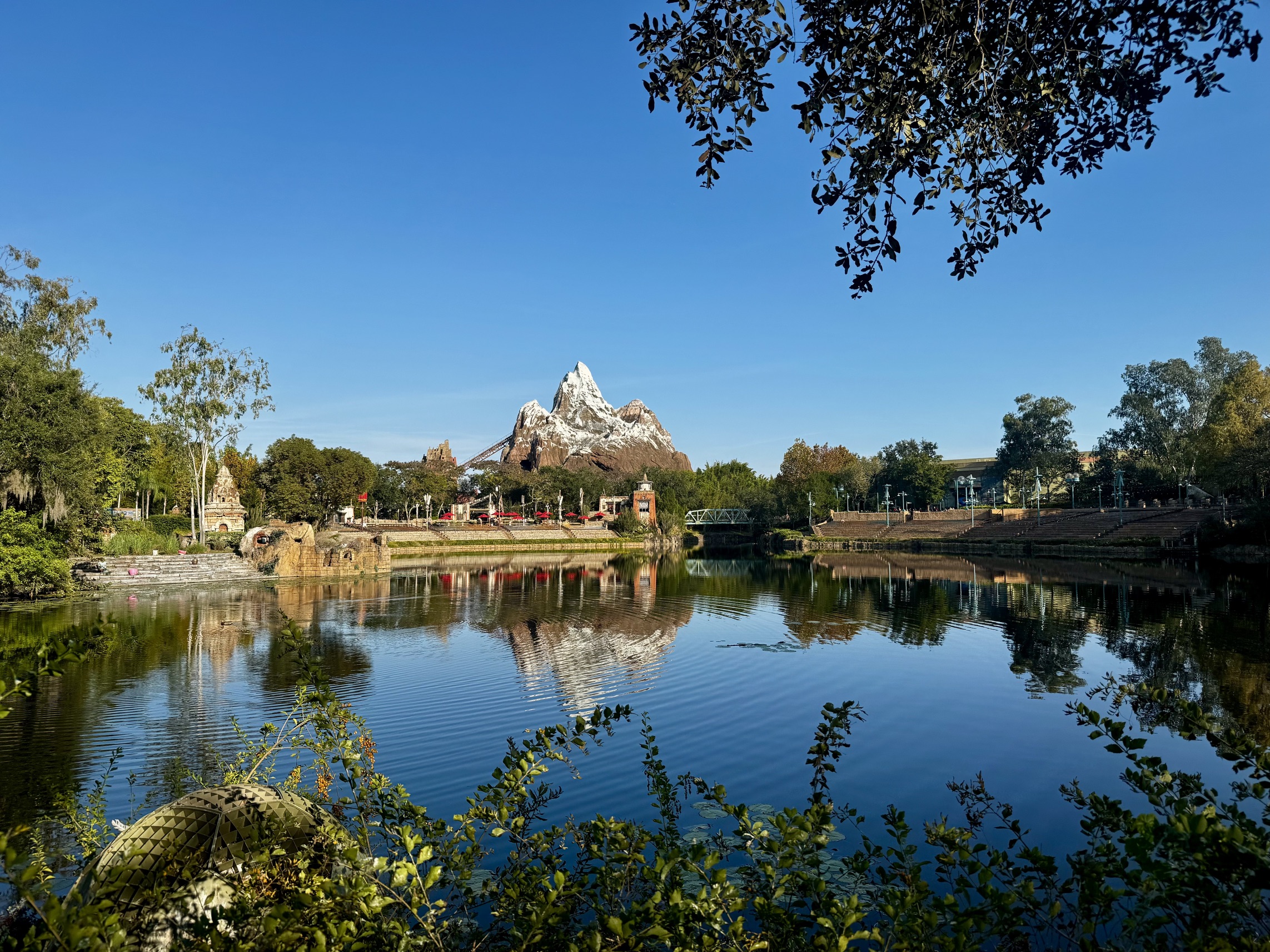 animal-kingdom-