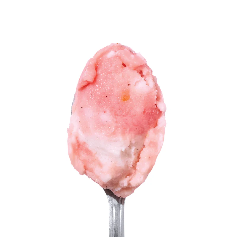 image – WDWINFO.COM New 2026 Ice Cream Flavors for Disney Springs & Downtown Disney image