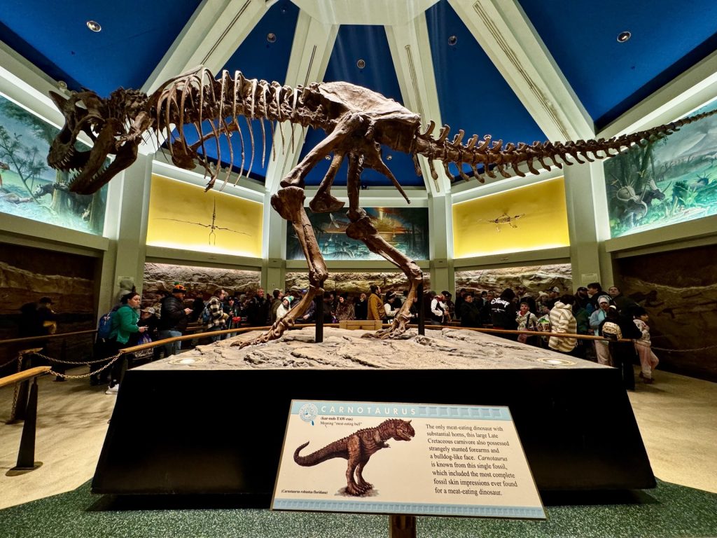 farewell dinosaur_chloe 18 – WDWINFO.COM Counting Down to Extinction: The Final Day of DINOSAUR farewell dinosaur_chloe 18