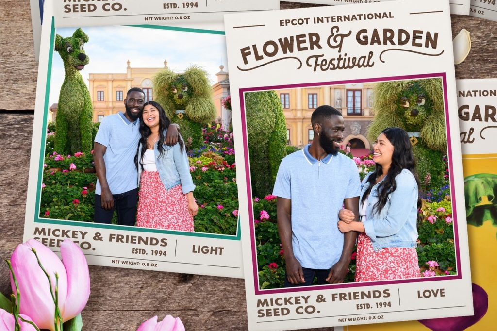 New Flower & Garden Photo Ops to Capture Now! Flower and Garden Photo Op 17